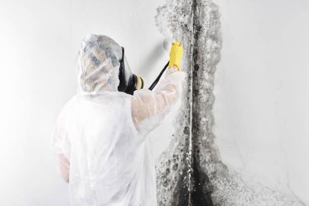 Best Commercial water damage restoration  in USA